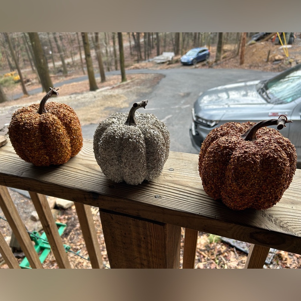 Set of Three Decorative Pumpkins